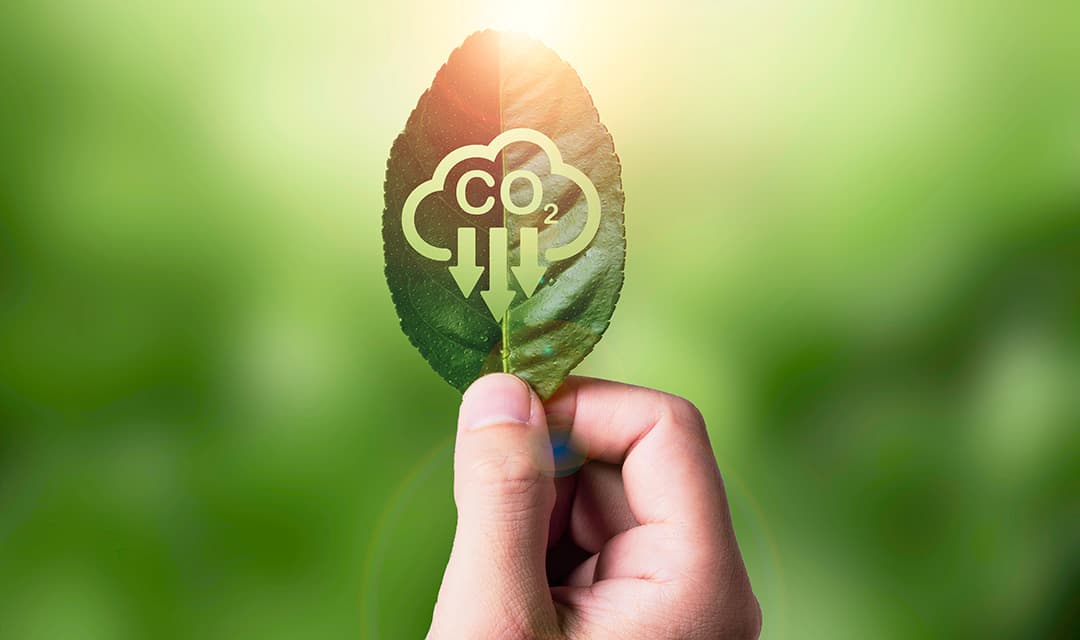 Soil enrichment and regenerative farming practices